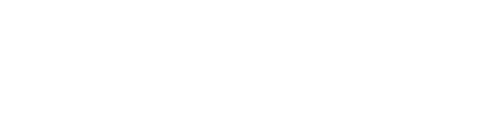 TRNSMT