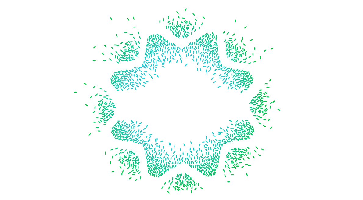 2018 SKOOKUM Festival