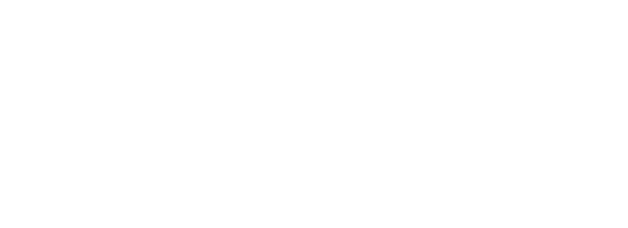 Bat Fest
