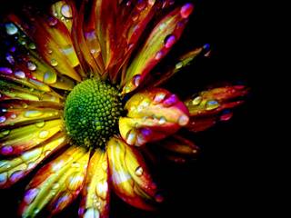 Automation Pre-Config Package