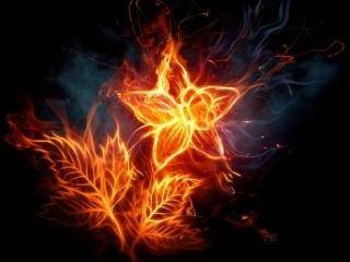 Automation PUser Config Package force qty match