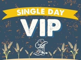 Single Day VIP