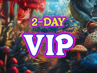 2026 Beyond Wonderland SoCal - 2-Day VIP Elevated Experience Pass