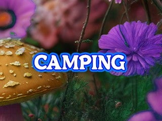 2026 Beyond Wonderland at the Gorge - Camping