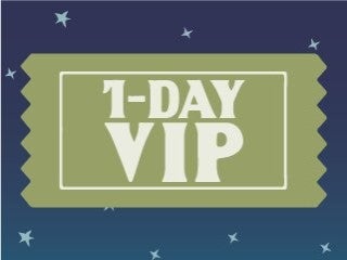 1-Day VIP