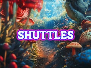 2026 Beyond Wonderland SoCal - Shuttles