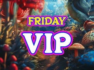 2026 Beyond Wonderland SoCal - Friday VIP Elevated Experience Pass