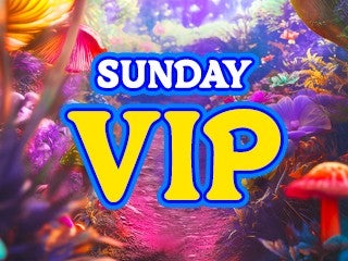 2026 Beyond Wonderland at the Gorge - Sunday VIP Elevated Experience Pass