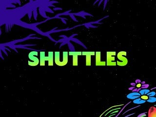 2026 Nocturnal Wonderland - Shuttles
