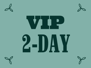 2027 2-Day VIP Ticket