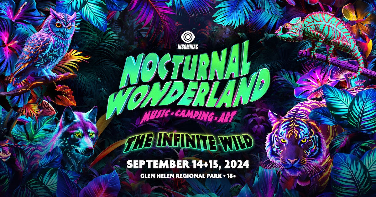 Nocturnal Wonderland