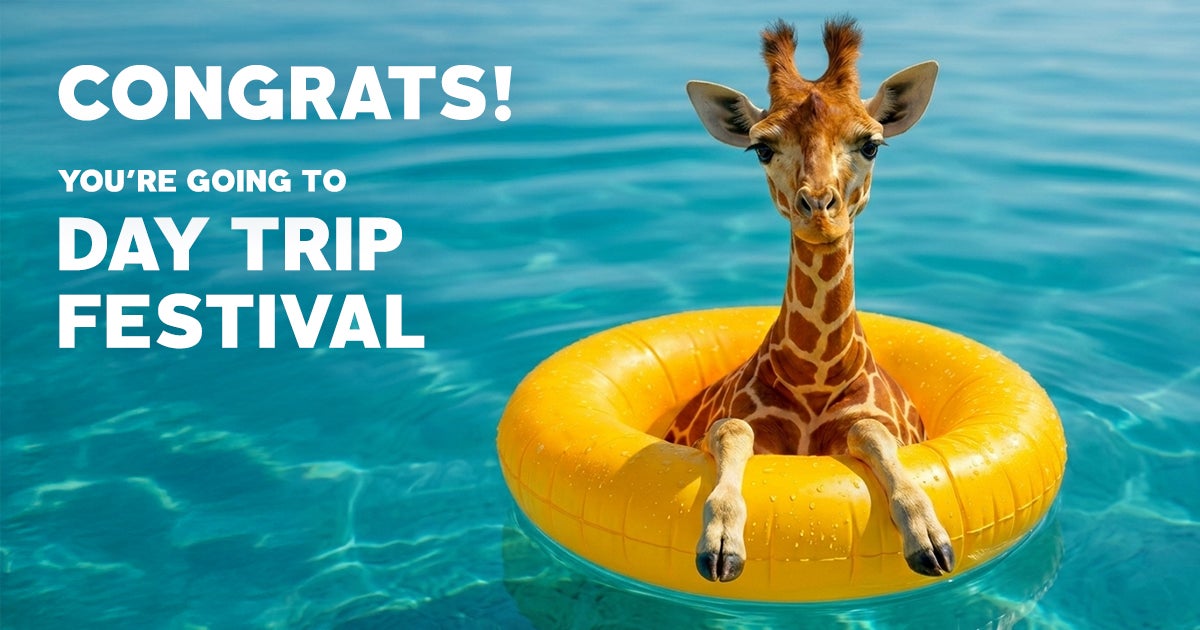 Day Trip Festival flyer