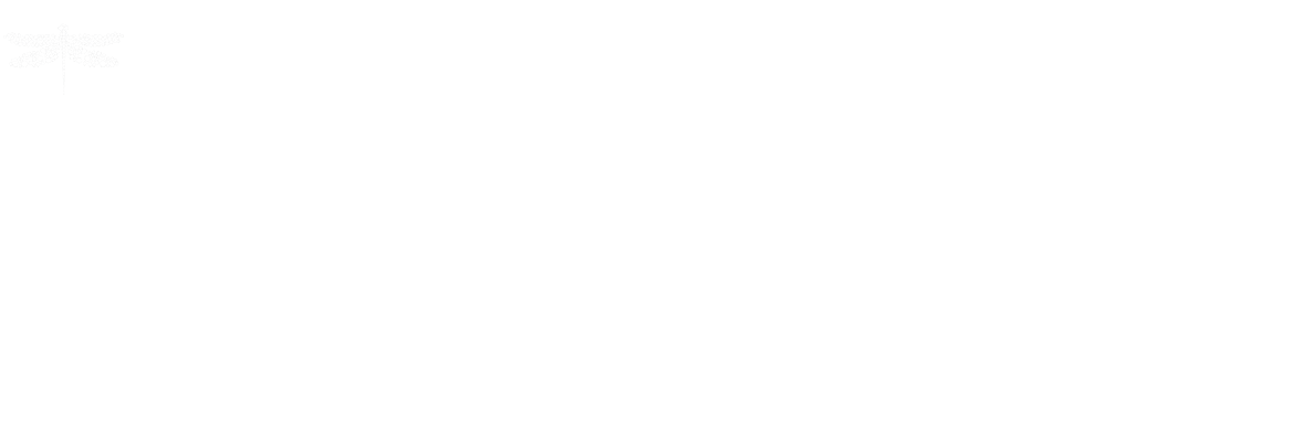Euphoria Festival